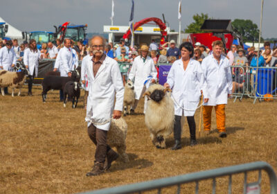 Livestock at G&S Show 2022