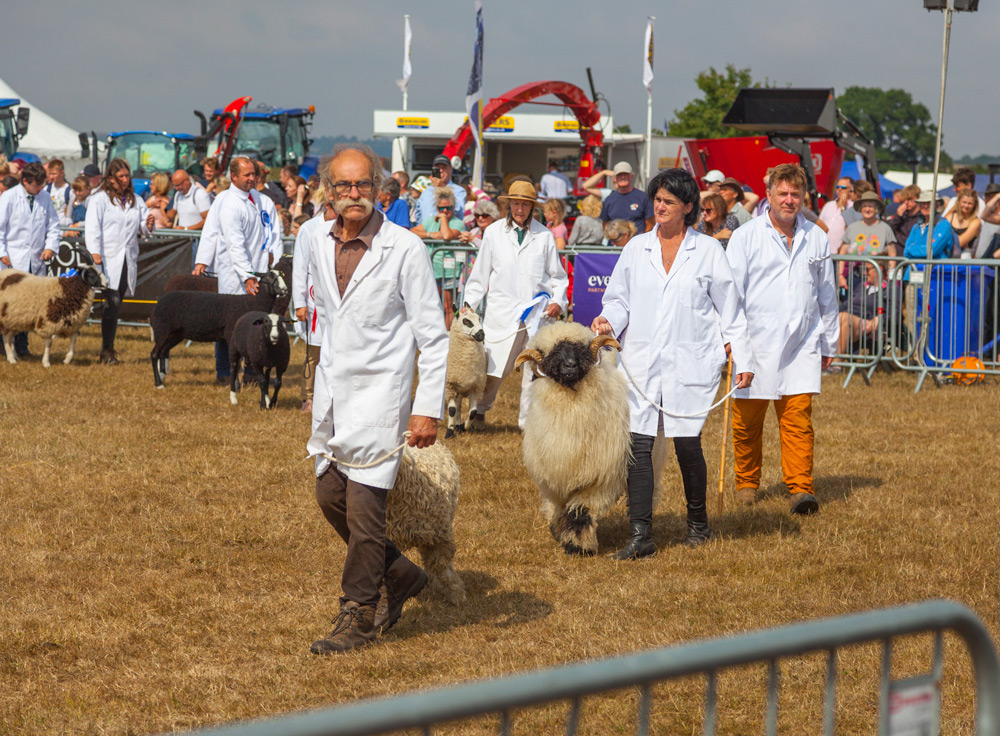 Livestock at G&S Show 2022