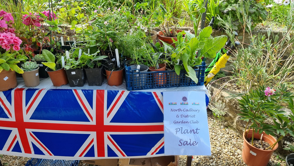 North Cadbury & District Garden Club