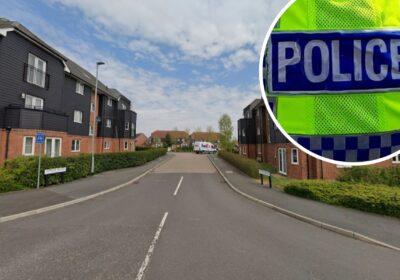 Police said the stolen Mini was later found in Applin Road, Salisbury