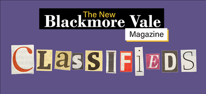 Salisbury Avon Gazette Classifieds