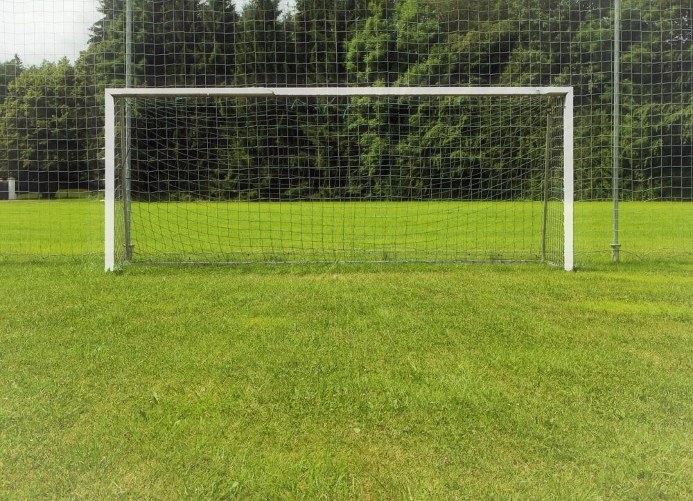 Yetminster Sports Club hopes to install a 5m-high fence behind a goal to stop wayward footballs
