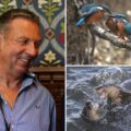 Dorset wildlife photographer David Bailey and some of his work