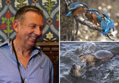Dorset wildlife photographer David Bailey and some of his work