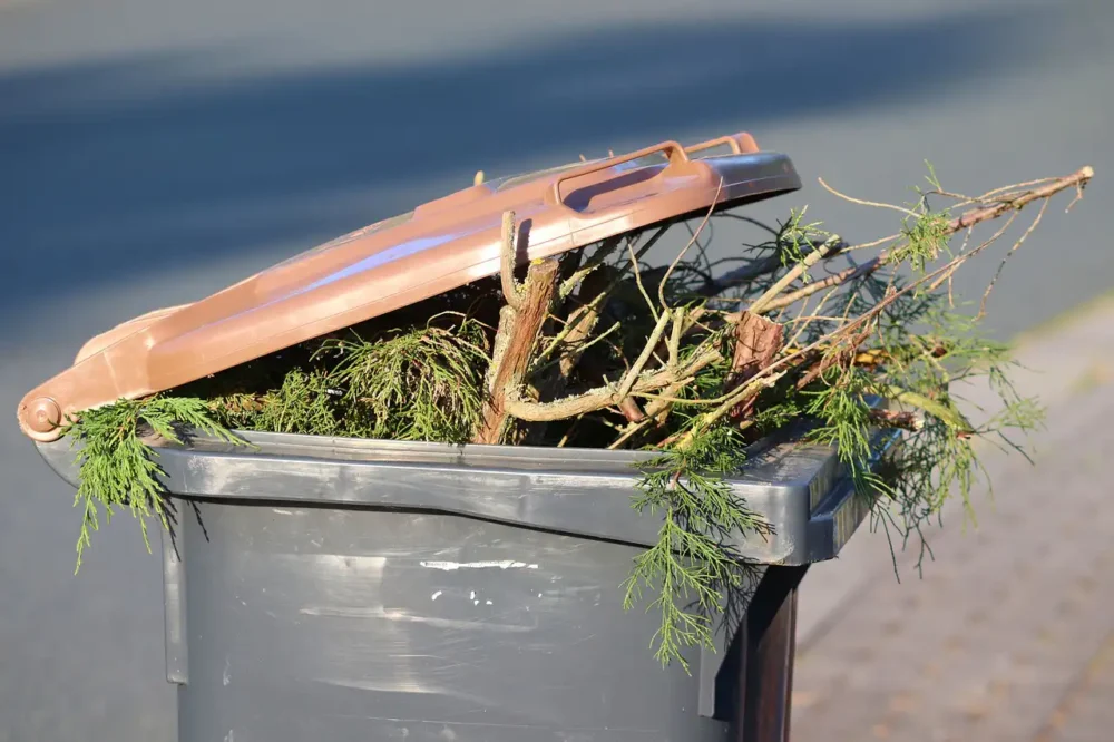 Recycling collections in Dorset over Christmas have been announced
