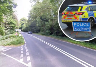The van crashed on the A31 at Winterborne Zelston, near Bere Regis