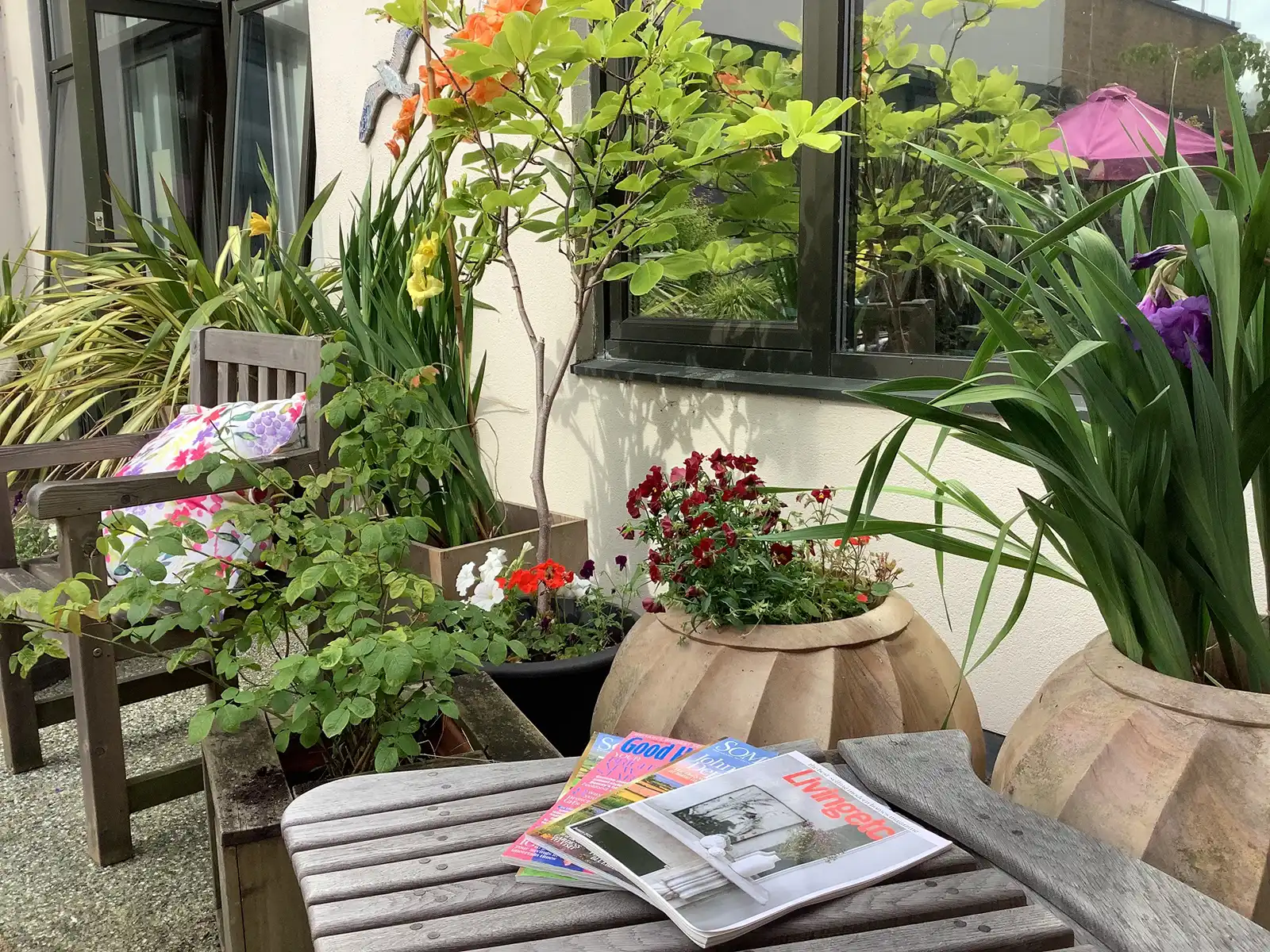 The garden aims to make time in hospital for dementia patients as easy as possible