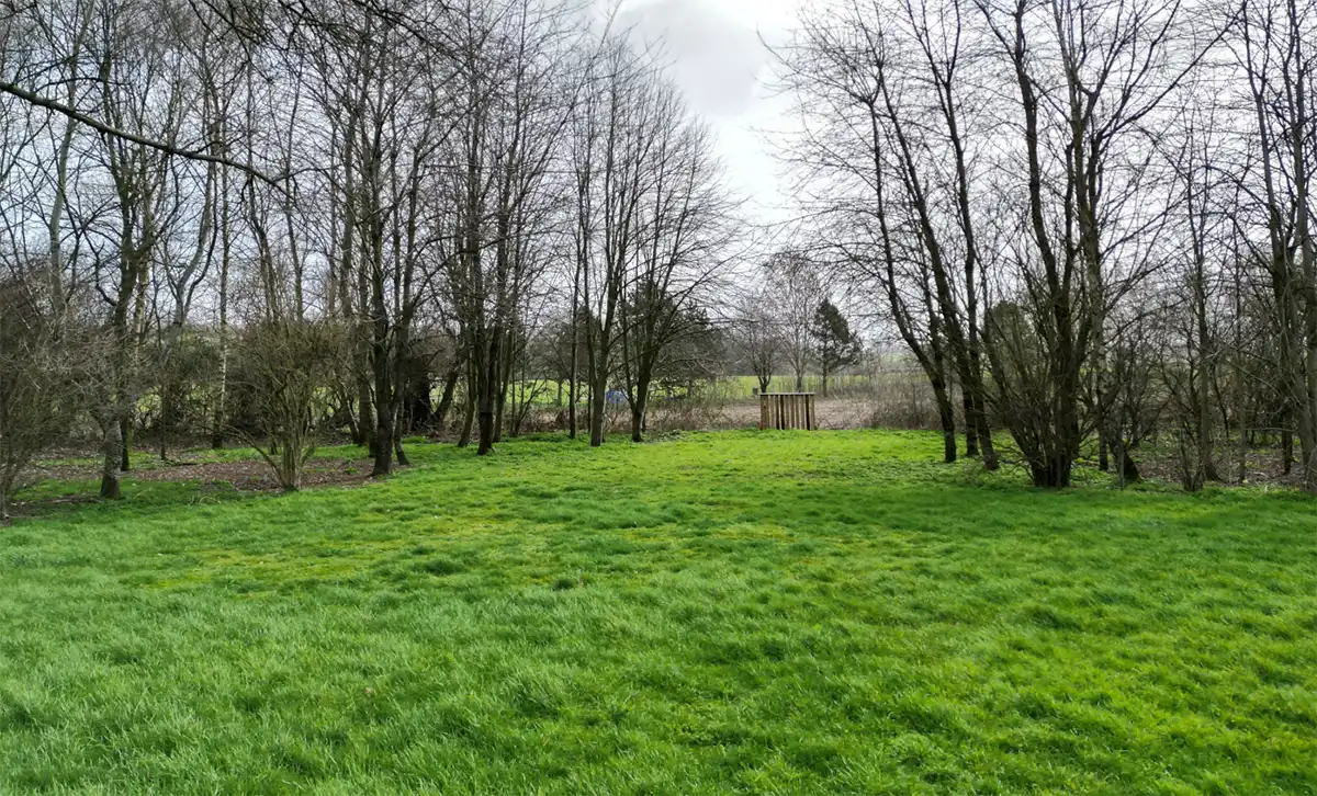 Where the cabins were erected on the Critchill Manor estate. Picture: DE Planning/Somerset Council
