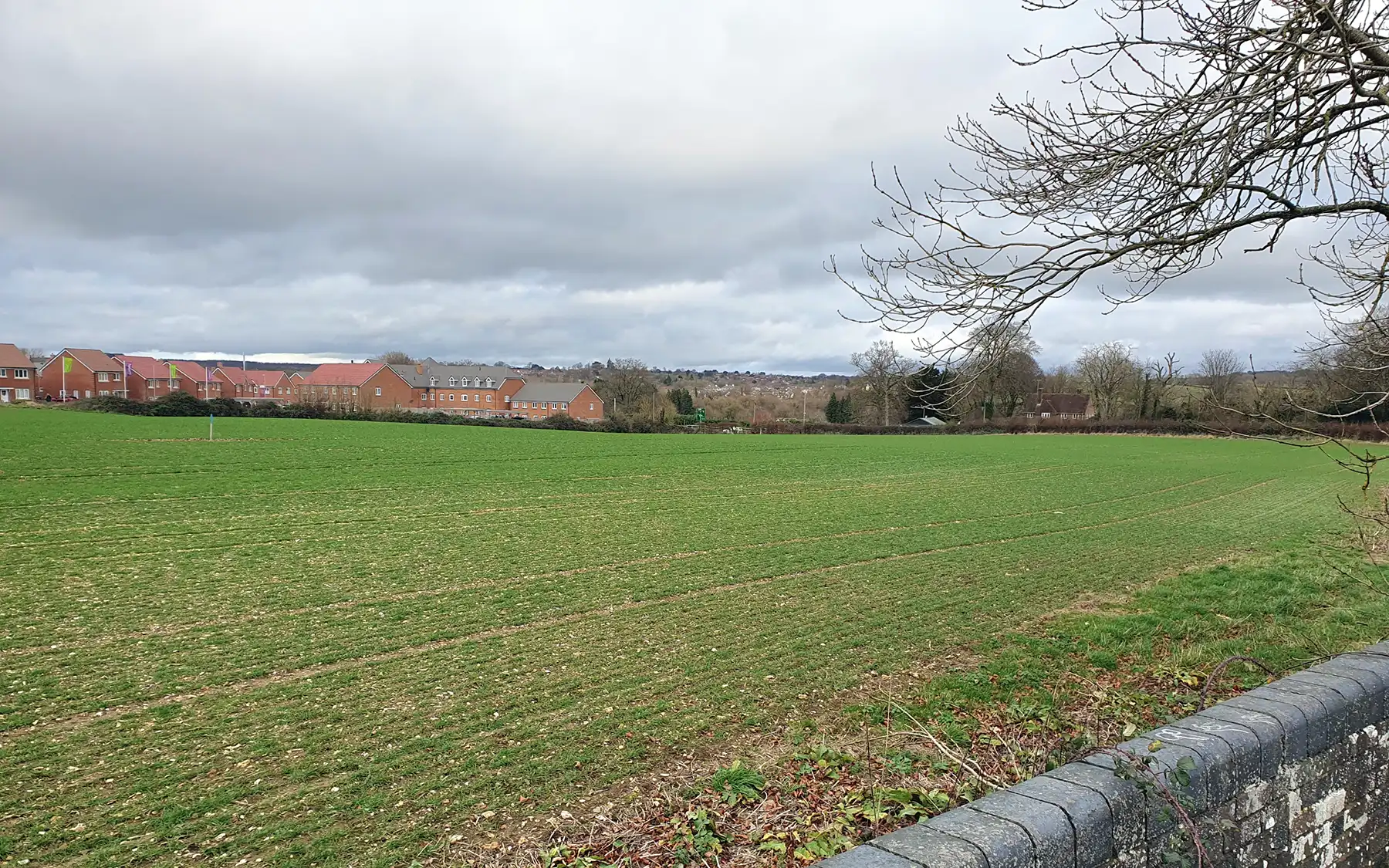 The site where the 135 new homes are planned. Picture: CPRE