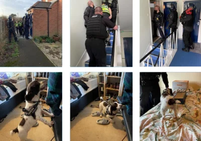 Dorset Police carried out the raids in Bridport on Wednesday morning