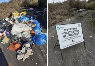 Before and after: The fly-tipped waste was cleared from Charlton Down, near Dorchester. Pictures: Dorset Council Waste Services