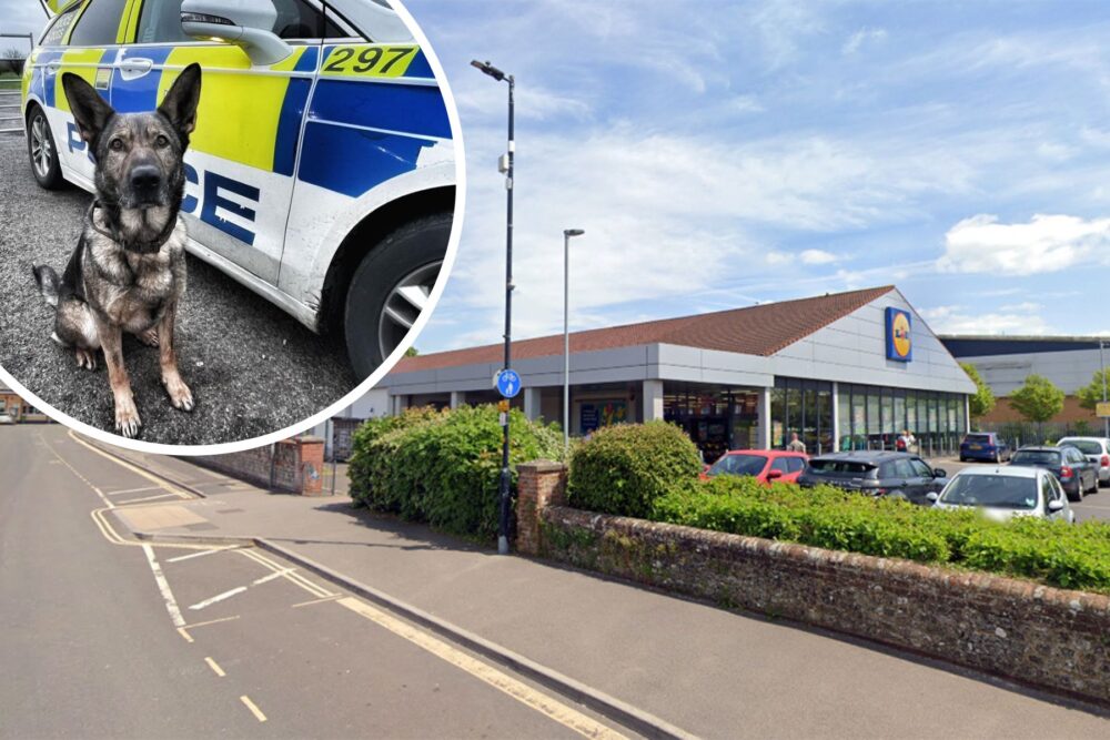 Police Dog Skye sniffed out suspects near Lidl in Warminster