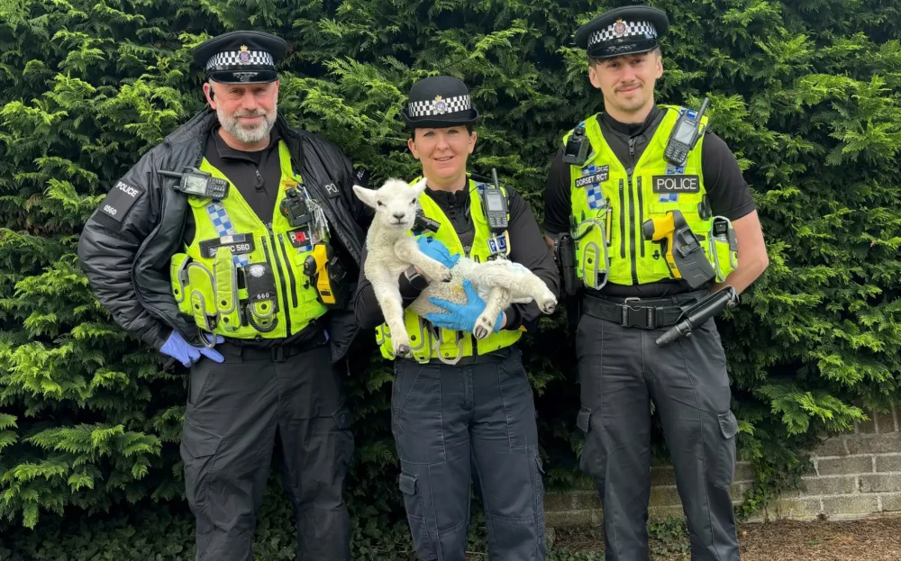 Dorset Police officers with the recovered lamb. Picture: Dorset Police