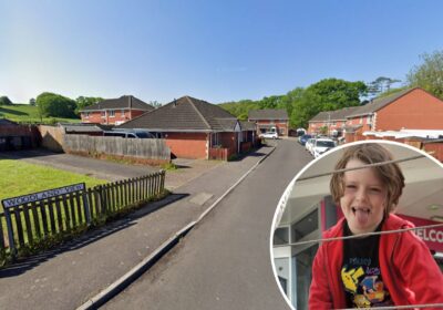 Lennix Sutcliffe, who was just eight, died after the incident in Woodland View, Dilton Marsh. Pictures: Google/Wiltshire Police