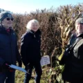 Dorset CPRE president Kate Adie taking part in a hedge survey in Dorset