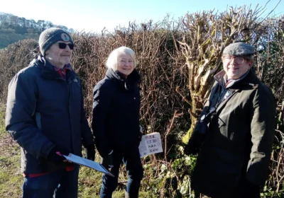 Dorset CPRE president Kate Adie taking part in a hedge survey in Dorset