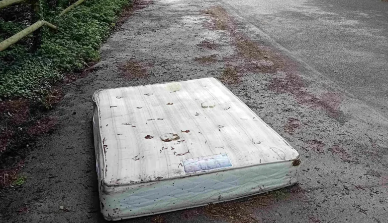 The mattress was dumped in a layby in Zeals. Picture: Wiltshire Council