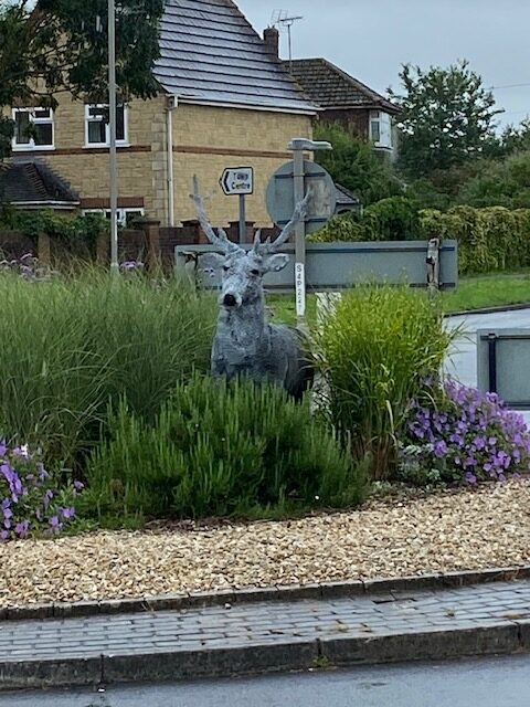 The repaired stag Picture: BB