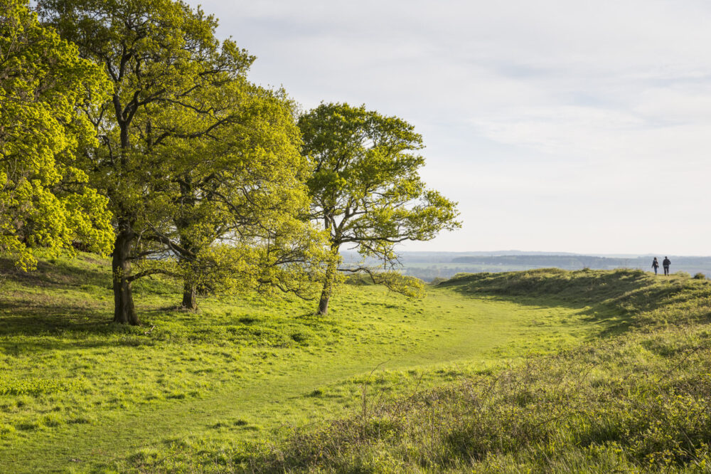 Visitors walking along the remains of the ramparts and ditches of the iron age hill fort at Badbury Rings, Dorset Picture: National Trust, James Dobson