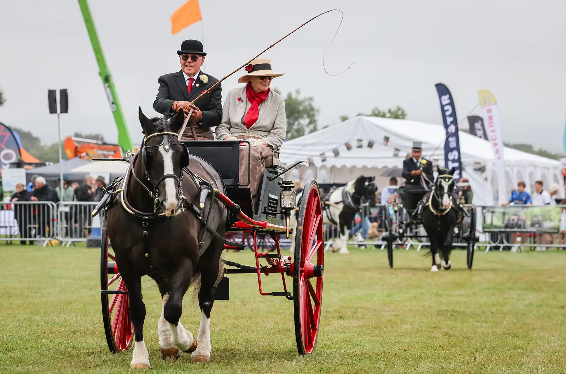 Beautifully turned-out carriages in the arena