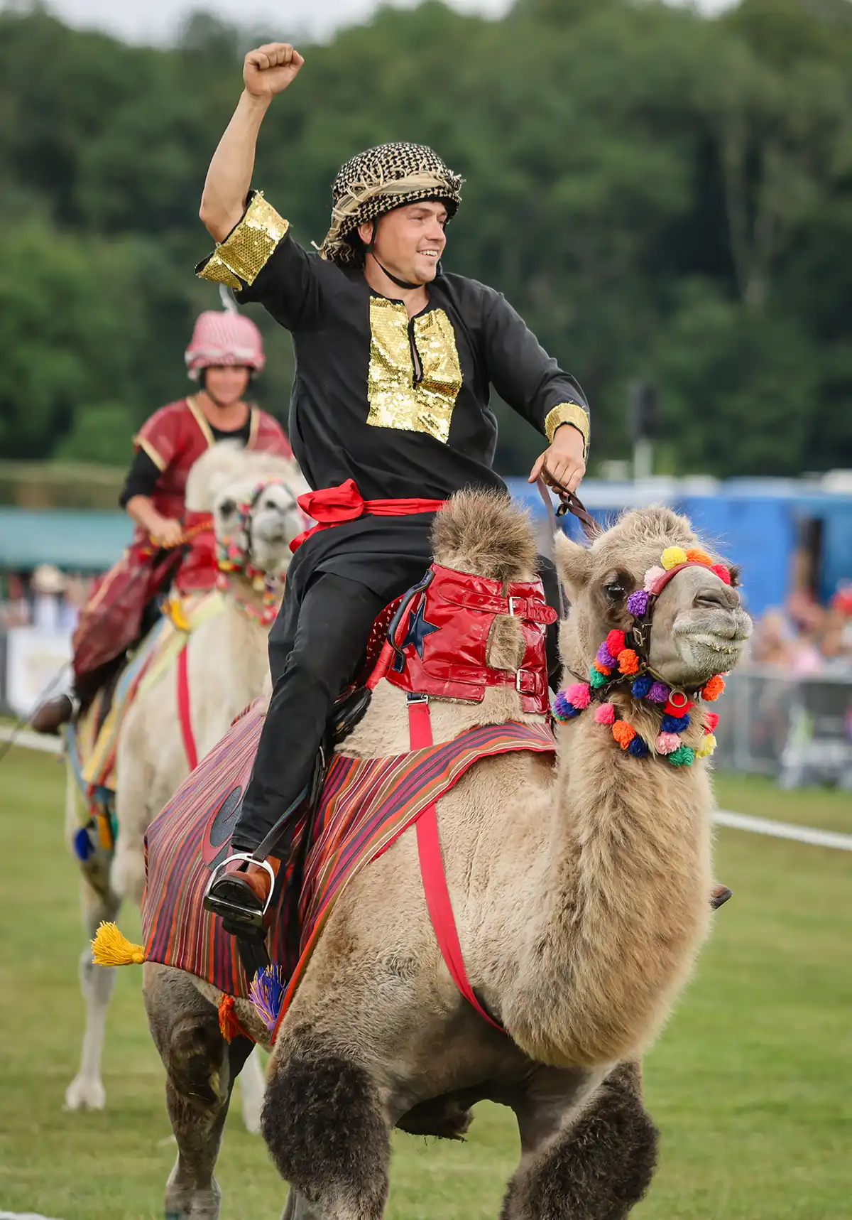 Joseph's Amazing Camels