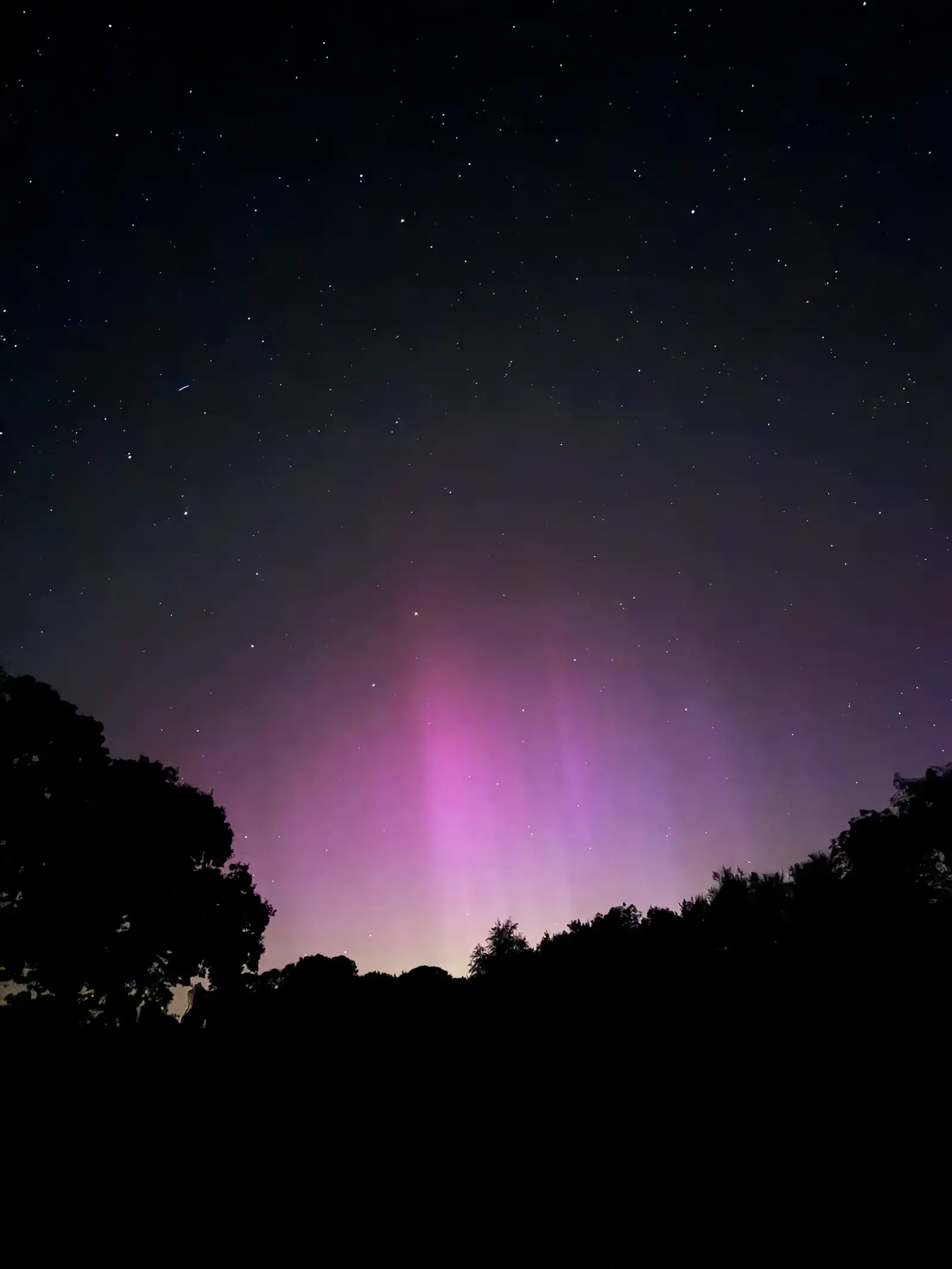 Steve Veness captured the Northern Lights from his garden in Stour Row, Shaftesbury