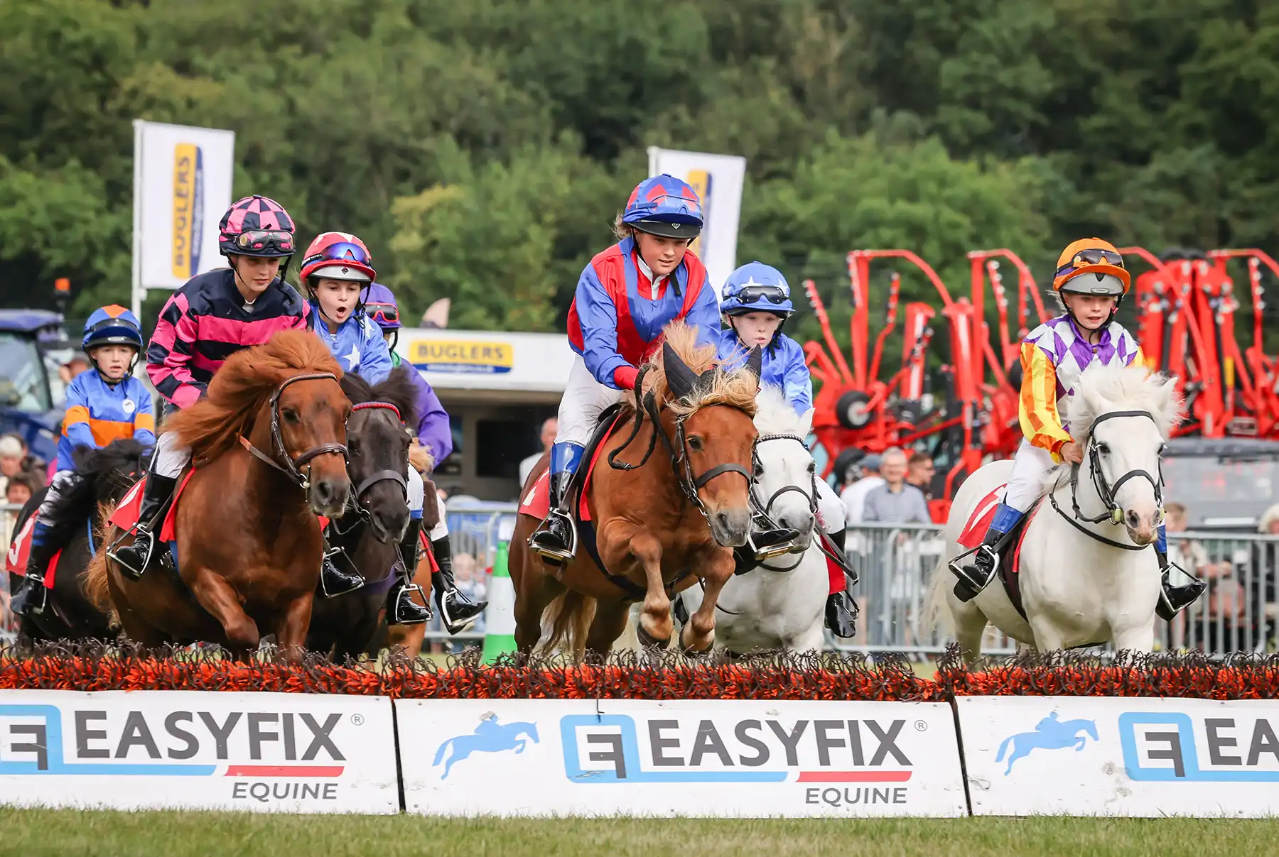Jumping for joy - and victory - in the Shetland Pony Grand National