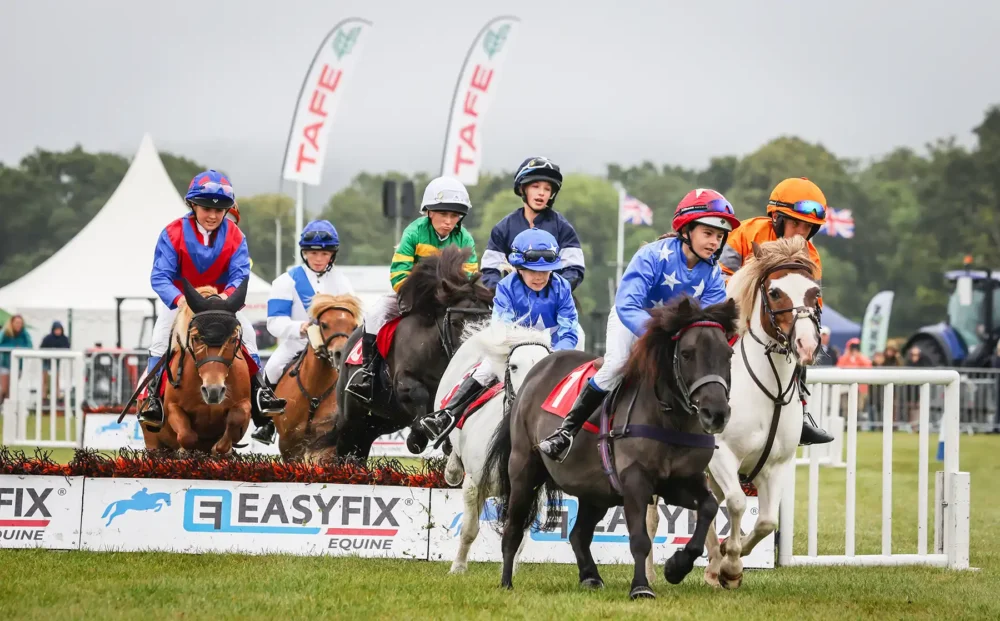 The Shetland Pony Grand National was among attractions on the first day of the Gillingham & Shaftesbury Show