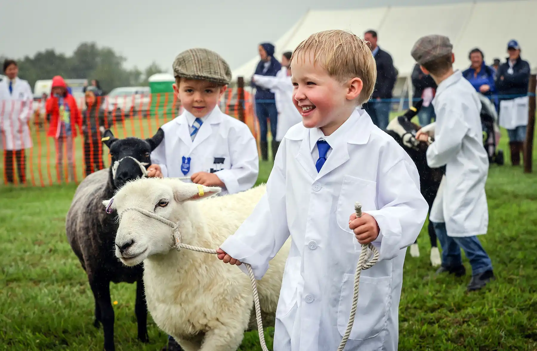 Young handlers showing off their rare breeds and more