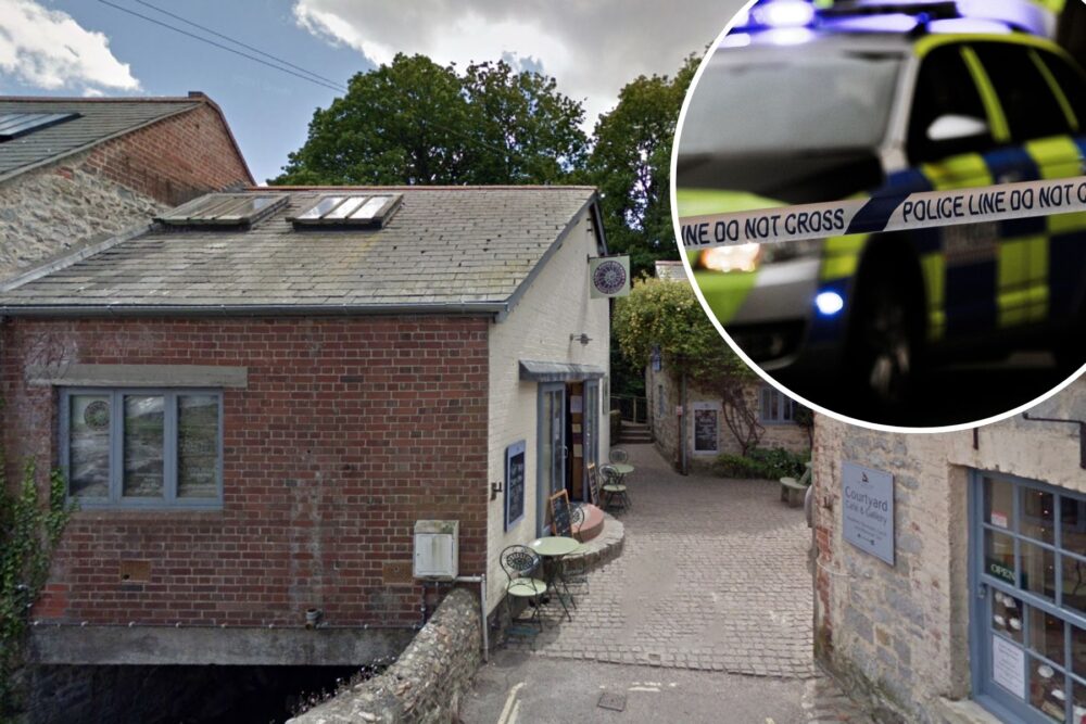 The girls, aged 13 and 14, have been charged after an incident at Lyme Regis Brewery. Picture: Google