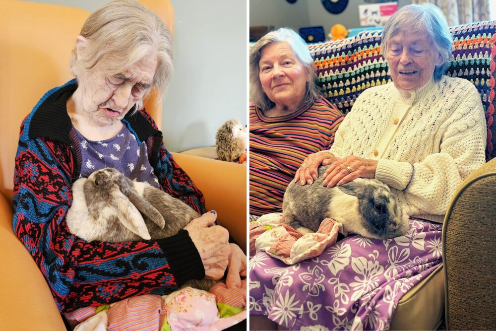 Residents got up close and personal with the animals during the Frome visit!