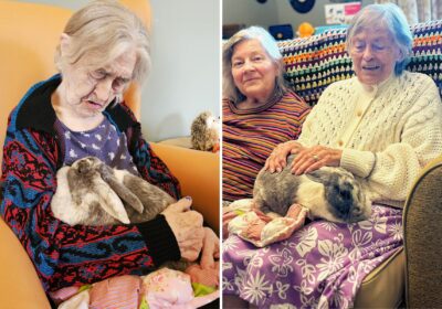 Residents got up close and personal with the animals during the Frome visit!