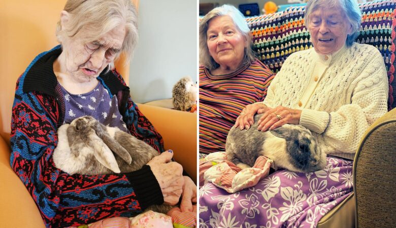 Residents got up close and personal with the animals during the Frome visit!