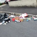 Reuben Spong dumped rubbish from the bin in Carisbrooke Cresent, Hilperton. Pictures: Wiltshire Council