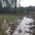 Slurry polluted a stream at Hanford, near Blandford, the court heard. Picture: EA/Gov