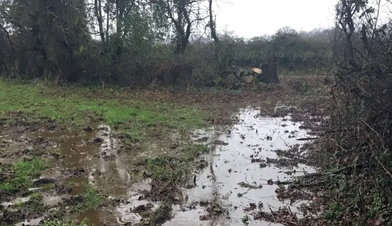 Slurry polluted a stream at Hanford, near Blandford, the court heard. Picture: EA/Gov