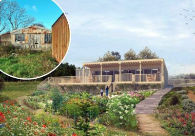 An impression of how the new building at Halstock Ridge Vineyard could look. Picture: Greenspace/Dorset Council