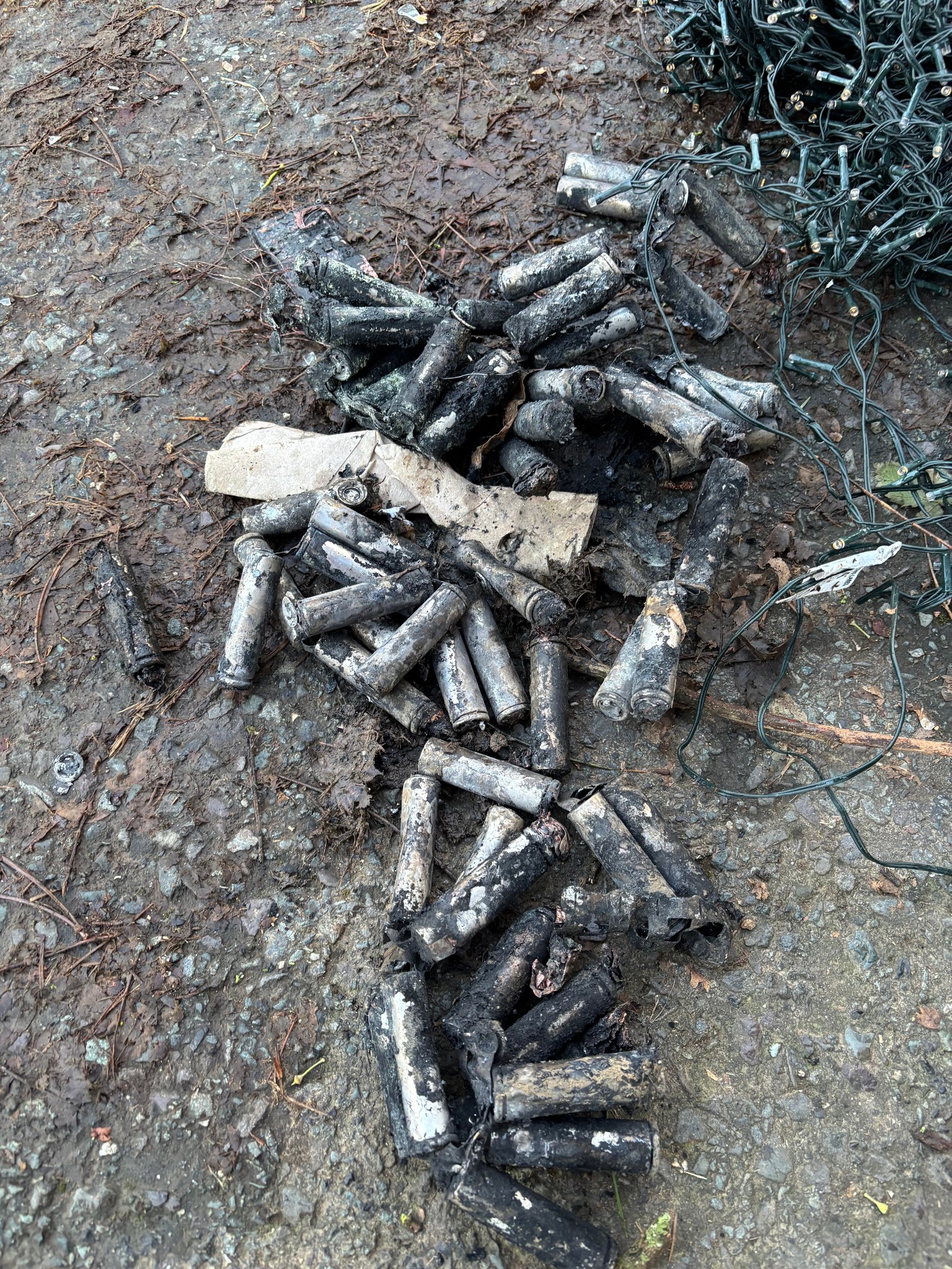 This is the second reminder of the dangers of improperly disposing of batteries in Dorset in the past two months Picture: Dorset Council Waste Services