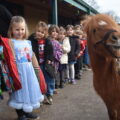 22-year-old Shetland pony Romeo visited children at Sherborne Primary ahead of the project launch event Picture: Sherborne Area Schools' Trust