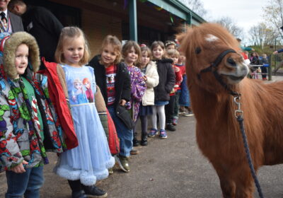 22-year-old Shetland pony Romeo visited children at Sherborne Primary ahead of the project launch event Picture: Sherborne Area Schools' Trust