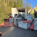 The meat blocked St John's Hill, Shaftesbury. Picture: Facebook