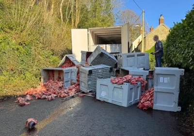 The meat blocked St John's Hill, Shaftesbury. Picture: Facebook