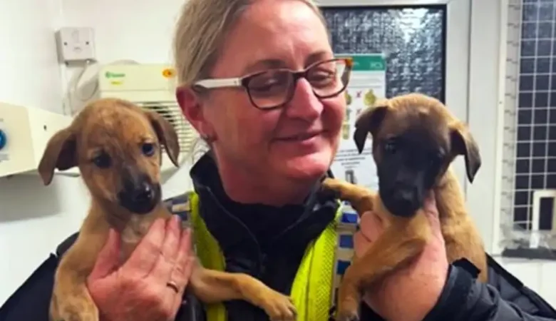 Two more of the Lurcher puppies have been recovered. Picture: Dorset Police