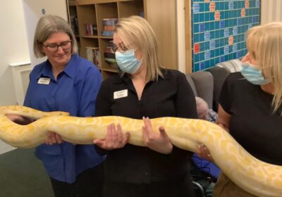 Residents got up close and personal with snakes and other reptiles Picture: The Malthouse