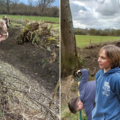 The scouts got stuck in with the planting Picture: Countryside Regeneration Trust