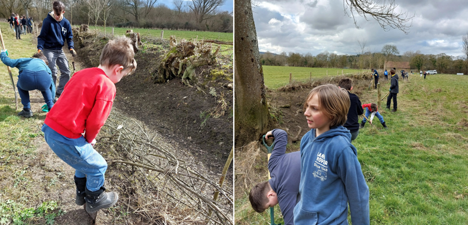The scouts got stuck in with the planting Picture: Countryside Regeneration Trust