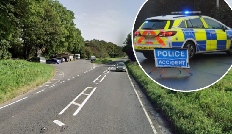 The crash happened near the Gingerbread Cafe, on the A35. Picture: Google