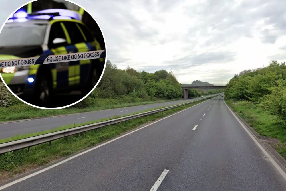 The man sadly died after falling from a bridge at the A303 Mere Bypass. Picture: Google
