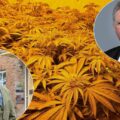 Both PCCs are backing calls for tougher cannabis classification Pictures: Wiltshire PCC FB/ Dorset PCC FB/ Avon and Somerset Police