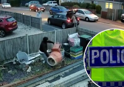CCTV footage of an alleged incident has been shared on social media